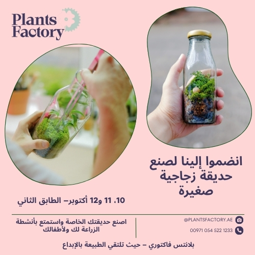 ورشة عمل التيراريوم في ديرفيلدز مول